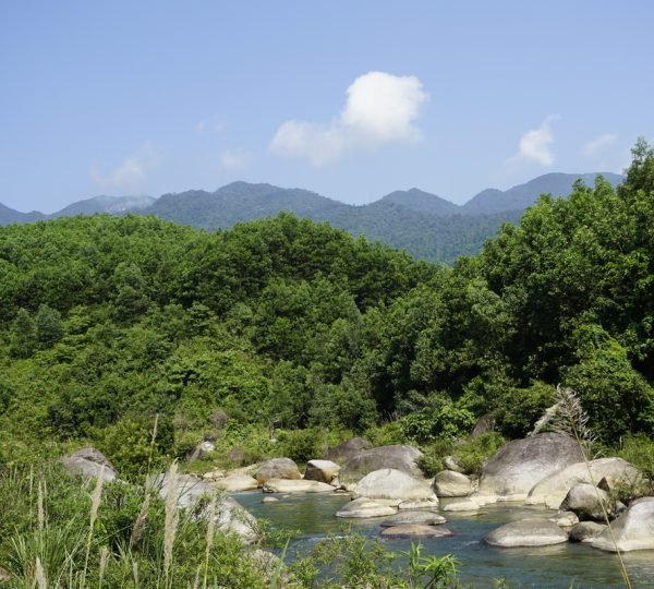 Da Nang Ho Chi Minh Trail Cycling Tour